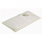 therm 2100
