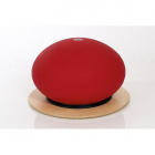 Dynaswing® Balancetrainer
