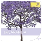 CD Jacaranda® Trainingsmusik