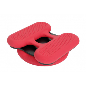 Ski Trainer