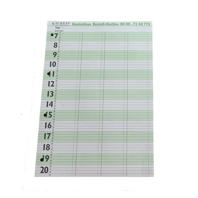 Terminplaner A4 Ringbuchlochung Patiententermine