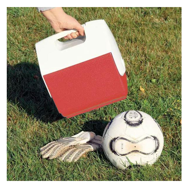 Cool Box zum Tragen