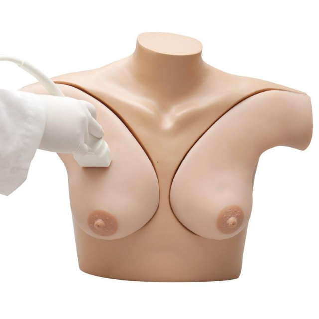 Brustphantomsimulator Modell