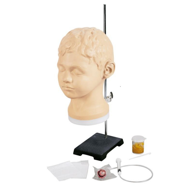 Diagnostischer und methodischer Ohrtrainer