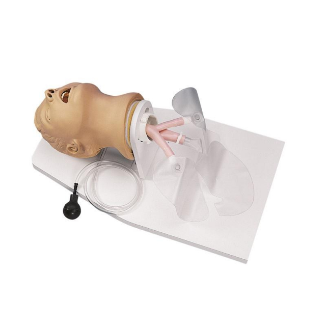 Intubationstrainer Erwachsener