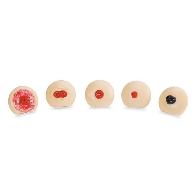 Stomapflege Übungsmodell-Set 5-teilig