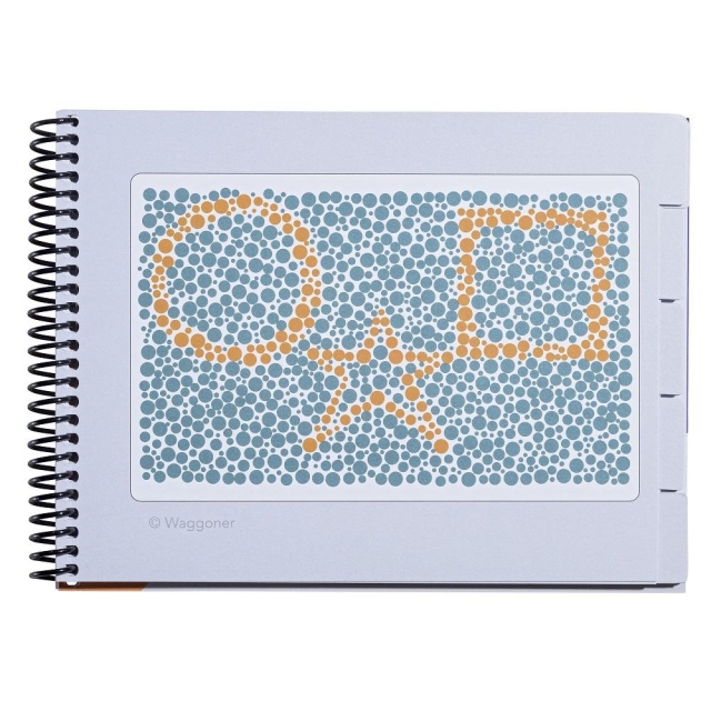 Farbtest Waggoner "Color Vision Testing made Easy"