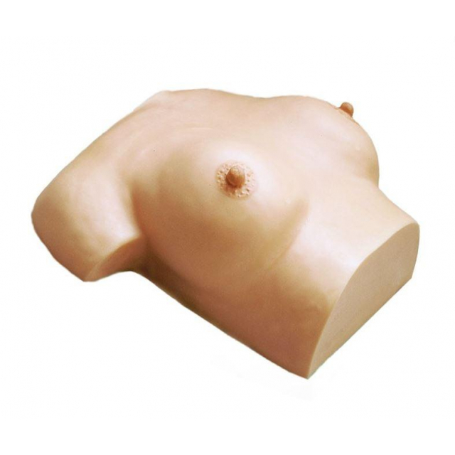 Brustpflege und -massagemodell liegend
