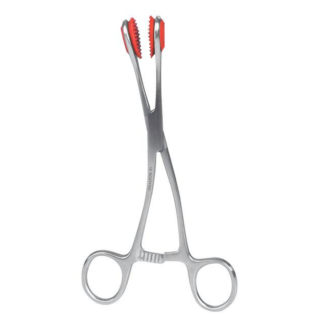 Zungenzange nach Young glattes Maul 16,5 cm