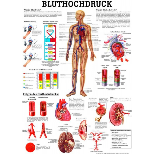 Poster "Bluthochdruck" 50x70cm