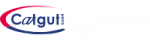 Logo Catgut GmbH chirurgisches Nahtmaterial